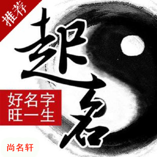 电白宝宝起名